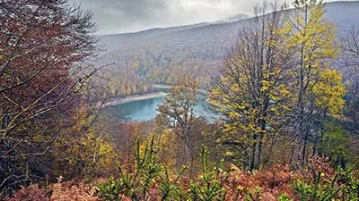 Valle de Salazar · Selva de Irati Valle de Salazar · Selva de Irati
