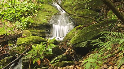 fuentes y cascadas en la Selva de Irati