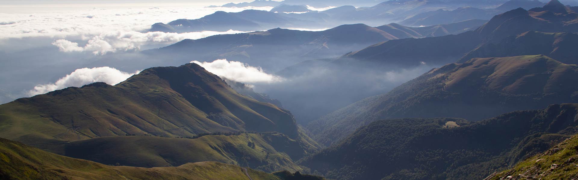 Vistas del Bosque de Irati